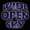 Picture for song 'Something in the Wind' by artist 'Wide Open Sky'