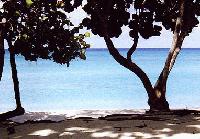 Picture for song 'The Breeze' by artist 'Widespan'