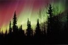 Picture for song 'Whispering Pines (acoustic)' by artist 'Widespan'