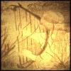 Picture for song 'Feather' by artist 'Will Carroll'