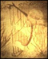 Picture for song 'Seen you before' by artist 'Will Carroll'