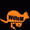 Picture for song 'Swedish woman from Norway' by artist 'WilleM'