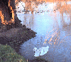Picture for song 'Water is Wide' by artist 'Willows Folk'