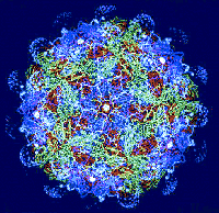 Picture for song 'The virus' by artist 'WillyBiggsAKATeddyBowles'