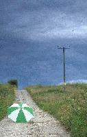 Picture for song 'Should You (I Like Mary Ann)' by artist 'Willy Krueger Band'