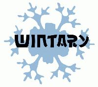 Picture for song 'Free Radio' by artist 'Wintary'