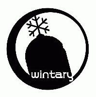 Picture for song 'Ghostfate' by artist 'Wintary'