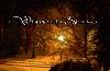 Picture for song 'Because Of You' by artist 'Winter In Silence'