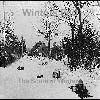 Picture for song 'Live to Die' by artist 'Winters End'