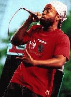 Picture for song 'shall i continue' by artist 'Wise Dome'