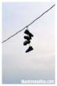 Picture for song 'sanity(where i'm going)' by artist 'wise the wizard'