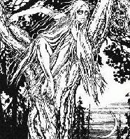 Picture for song 'Spelling Doom' by artist 'Witch Leavings'