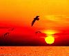 Picture for song 'Genyi-Ich Hab Angst_King Of Kiez_bonus_' by artist 'WnRECORDZ'