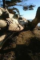 Picture for song 'Napther' by artist 'Wood'