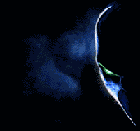 Picture for song '4-PLaY-instrumental' by artist 'WooNYViLLeNz'