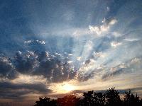 Picture for song 'INDIE INDIA' by artist 'WORLD'SOAP'