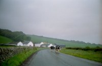 Picture for song 'MOUYASSIO' by artist 'WORLD'SOAP'