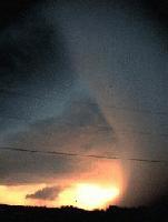 Picture for song 'PIZZETHNIC' by artist 'WORLD'SOAP'