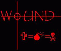 Picture for song 'Stand and Fight' by artist 'Wound'