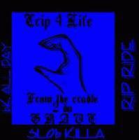 Picture for song 'danger flow' by artist 'wreackin squad'