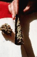 Picture for song 'Down With The Green' by artist 'Wreckin Krew'