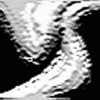 Picture for song 'The Diligent Nacho' by artist 'Wrinklicious'