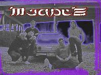 Picture for song 'Roland' by artist 'www dot muddleville dot com'