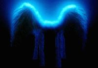 Picture for song 'Clap Your Wings' by artist 'WyLdKaRdZ'