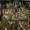 Picture for song 'a place not safe for us' by artist 'xbondedbyconvictionx'