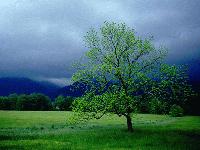 Picture for song 'Calm Before The Storm - Xcon & Spawn' by artist 'Xcon'