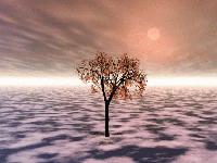 Picture for song 'Aquel Que Calma El Mar' by artist 'Xelmorro'