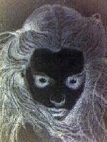 Picture for song 'Si El Viento Hablase' by artist 'Xelmorro'