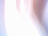 Picture for song 'xer-n' emotion 21-E' by artist 'xeronaut'