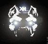 Picture for song 'XL_-_Good 4 You' by artist 'XL (Holland)'