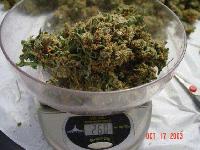 Picture for song '"What Can U Do"' by artist 'XNasty'