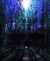 Picture for song 'Bewildered' by artist 'Xphyr'