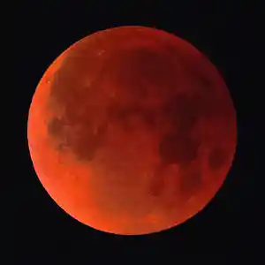 Picture for song 'Lovers On The Moon' by artist 'XScammer B'