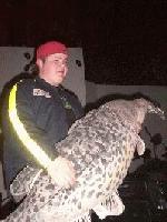 Picture for song 'Musical # 2' by artist 'XxXstaaplineXxX'