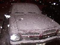 Picture for song 'Scars Talk Through' by artist 'XxXstaaplineXxX'