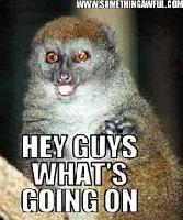 Picture for song 'My First Beat Ever' by artist 'Yasif'