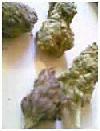 Picture for song 'Break it down' by artist 'ygB young Bugzy'