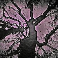 Picture for song 'Final Breaths' by artist 'Ygiis Tarachi'