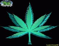 Picture for song 'Hydro! (cam yeyo man remix)' by artist 'YOGI THA TROOPER'