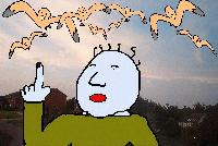 Picture for song 'All the Seagulls' by artist 'yonder'