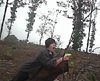 Picture for song 'Catwoman' by artist 'yonder'