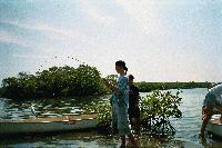 Picture for song 'joey's song (nevermind yesterday)' by artist 'yonder'