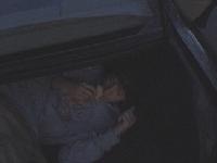 Picture for song 'Son of a Gun' by artist 'yonder'