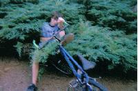 Picture for song 'What I Really Need' by artist 'yonder'