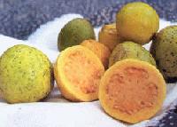 Picture for song 'Guava Jam' by artist 'Yonder Hill Jamband'