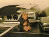 Picture for song 'Dmitriy Popov - Olympus' by artist 'YorkshireTyke'